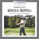 아임프로골프연습장 네이버블로그