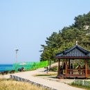 화진포 역사안보전시관 이미지