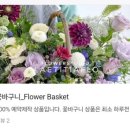 라이티티아플로 이미지