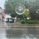 마론과자점 이미지