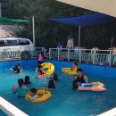 숲속앤정원 이미지