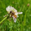 명곡동321 이미지