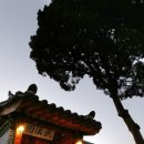 키릴 카슈닌 피아노 리사이틀 이미지