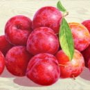 기억 2022 No 이미지