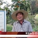 북일농장 이미지