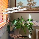 CU 제주안덕큰길점 | 제주 안덕 브런치 맛집 &#34;메릭빌&#34; 오픈샌드위치 내돈내산 후기!!