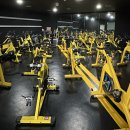 마크짐휘트니스 영통역점 이미지