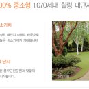 꿈에그린2차 이미지