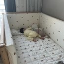 슈퍼윅스 | 안데르센 올리버 아기침대 내돈내산 후기｜60cm 하이가드 수납형 슈퍼싱글 실사용 리뷰