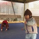 경기도 안성 금광관광농원캠핑장 가족캠핑 천국