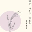 아시아문화박물관 이미지