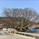 보천2리 티스토리