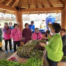 협동조합담다 이미지