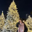 모아수선 이미지