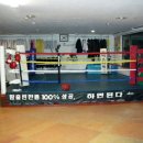 빅스타 복싱체육관 이미지
