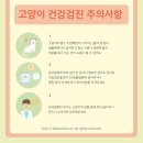 백동물병원 이미지