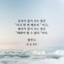 스타칼리휘트니스 이미지