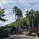 중문오렌지파크 이미지