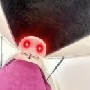 하나바이오 | 건대다이어트 미가보 건강케어 온열 바이오포톤 관리 후기