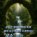 당신의봄날 Daum카페