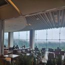 소노펠리체 델피노 이미지