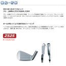 [남성-신품/아이언]던롭 SRIXON Z525 아이언세트(#5~S, NS980 S) 이미지