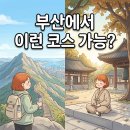 금정산_숲길(등산)1코스 | 부산 금정산 고당봉 등산코스 후기｜범어사 템플스테이 1박2일 힐링 여행