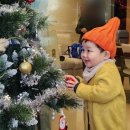 경포 아토풀빌라 이미지