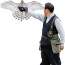 보라매 이미지