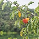 안남면행정복지센터 이미지