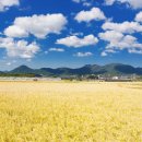 사람곡간 이미지