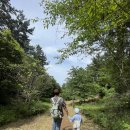 [육아일기] 7세 아이와 제주 한달살이 (4) 제주 시내의 재발견-민오름