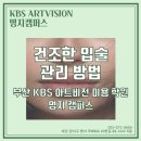 (주)케이비에스아트비전 이미지