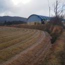 영광목장 이미지