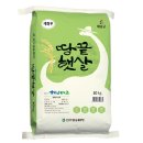 톡딜 23년 땅끝햇살 쌀 10kg 27,900원 이미지