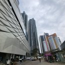 동대문구 : 청량리역 중심으로 천지개벽중인 전농동, 답십리동 분위기 임장