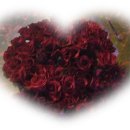 세나농장 이미지