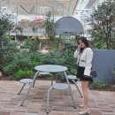 산드로갤러리아 - 18427 | 스트레이트체형 키작녀 코디&일상ㅣ타임 아울렛 반팔니트 유니클로 스트레이트진 커브진 산드로트위드