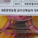 조치원농협하나로마트