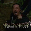 엔젤연합소아청소년과의원 네이버블로그