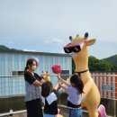 킹덤키즈 이미지