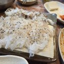 통통오징어