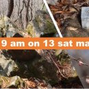 봉전1리 이미지