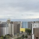 갤러리비타민약국 | [10.11-15] 🇯🇵동생과 일본 삿포로 여행-2::비에이•후라노 투어::오도리공원,사계채의언덕,탁신관,자작...