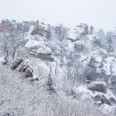 야호 이미지