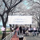 한정리 | [달창지길 벚꽃축제후기]달창지벚꽃축제일정/달창지주차장/달창지길벚꽃실시간/대구벚꽃명소/대구벚꽃축제