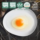 옹알옹알 이미지