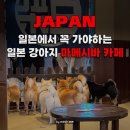 이조전통따로식당 | 유후인 마메시바 카페 방문 후기 유노츠보 거리 플로랄 빌리지 근처 필수 코스