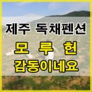 모루헌 | 제주도 독채펜션 모루헌! 감동이네요