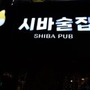 시바술집